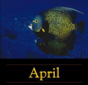 April 2000